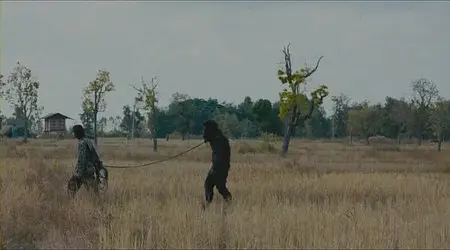 Uncle Boonmee Who Can Recall His Past Lives - by Apichatpong Weerasethakul (2010)