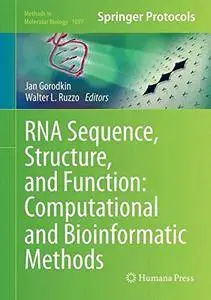 RNA Sequence, Structure, and Function [Repost]