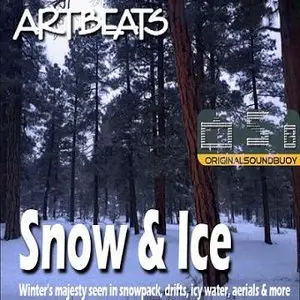 Artbeats - Snow & Ice