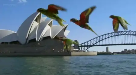 BBC - Earthflight (2012)