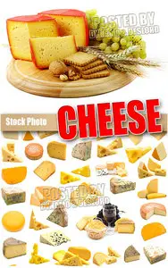 Cheese - UHQ Stock Photo