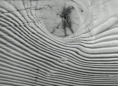 Agnès Varda - L'Opéra-Mouffe (Carnet de notes d'une femme enceinte) (1958)