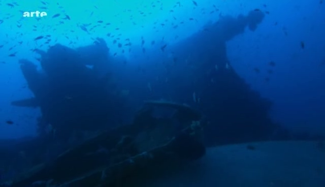 (Arte) Danse avec les poissons (2011)