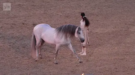 France Televisions - Horses of the Sun: The Royal Carrousel of Versailles (2013)