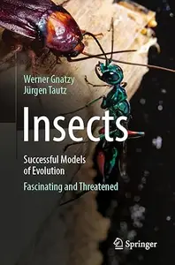 Insects - Successful Models of Evolution: Fascinating and Threatened