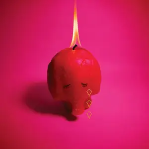 Arcade Fire - Pink Elephant (2025) [Official Digital Download 24/96]