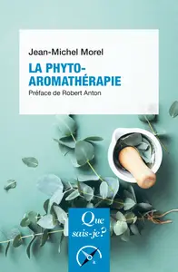 La Phyto-aromathérapie (2e édition) - Jean-Michel Morel