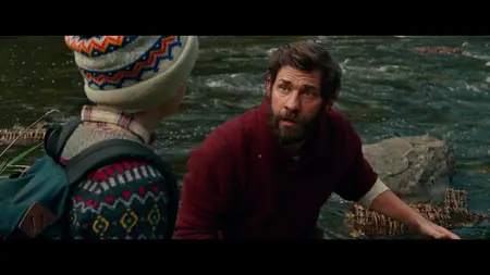 A Quiet Place (2018)