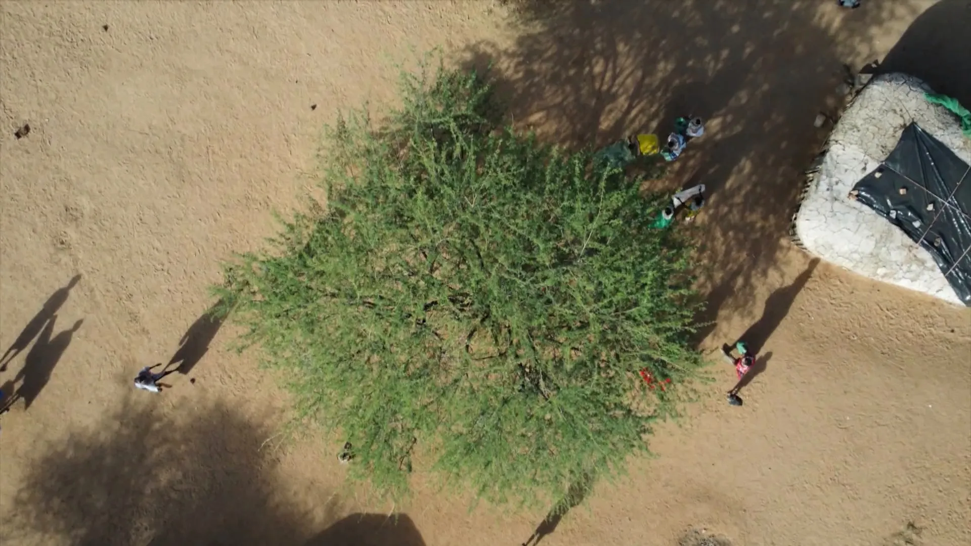 Umoja - Where Women Rule (2025)