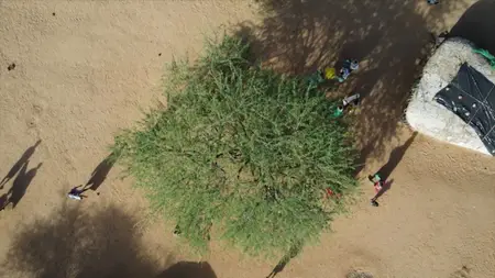 Umoja - Where Women Rule (2025)