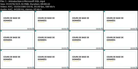 Microsoft SQL pour les débutants: Le cours de A à Z