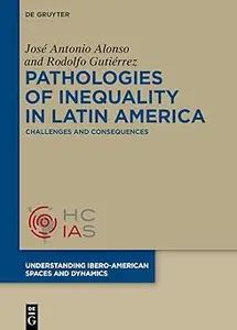Pathologies of inequality in Latin America: Challenges and consequences