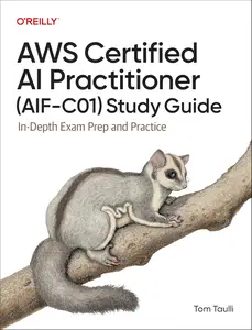 AWS Certified AI Practitioner Study Guide: In-Depth Exam Prep and Practice
