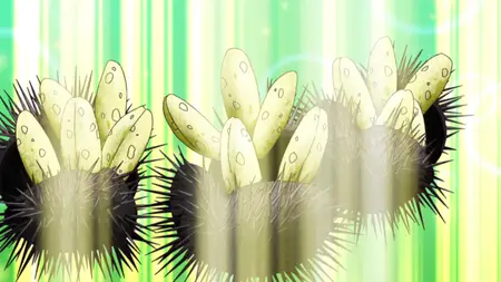 Toriko (2011) - S02E30 Intuition Cooking! Komatsu and the Shining Gourami! -CDL