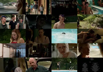 The Lifeguard (2013)