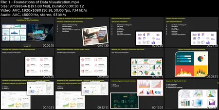 Master Course in Data Visualization & Data Warehousing (101)