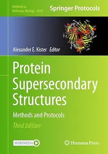 Protein Supersecondary Structures (3rd Edition)