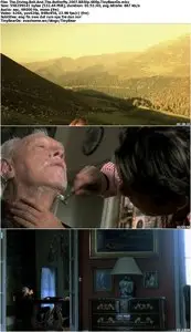 The Diving Bell And The Butterfly (2007)