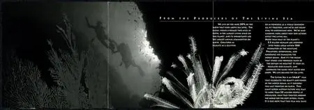 Sting - The Living Sea: Soundtrack from the IMAX Film (1995) {A&M Records 540 350-2}