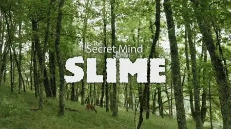 PBS Nova - Secret Mind of Slime (2020)