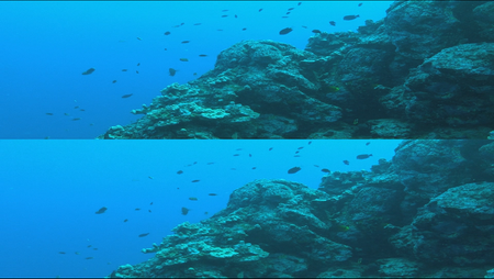 World Natural Heritage Hawaii 3D (2012)