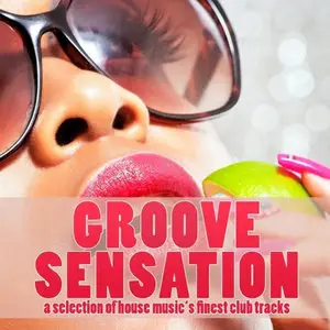 VA-Groove Sensation - A Selection Of House Music's Finest Club Tracks (2010)