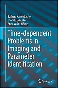 Time-dependent Problems in Imaging and Parameter Identification