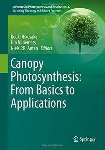 Canopy Photosynthesis: From Basics to Applications (Repost)
