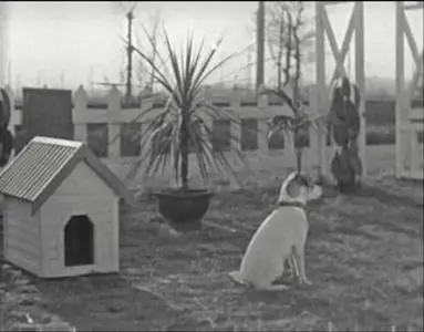 Yasujiro Ozu-Umarete wa mita keredo ('I Was Born, But...') (1932)