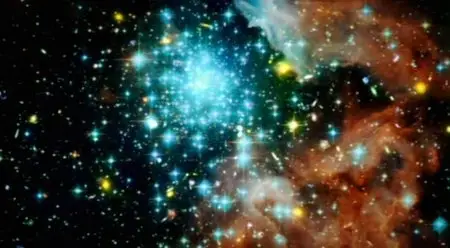 Stephen Hawking - Master of the Universe (2008)