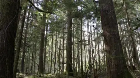 Wayward Pines S01E08