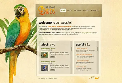 FlashMint 2838 All about birds XML gallery flash template
