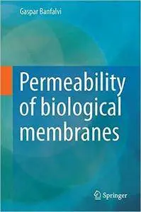 Permeability of Biological Membranes