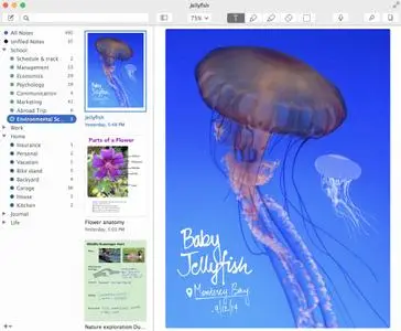 Notability 2.5.0 Multilingual Mac OS X