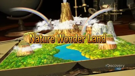 NHK Nature Wonder Land - Fish Springing from Sand Dunes (2008)