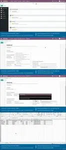 Odoo Functional Implementation Guide | SCM [En]