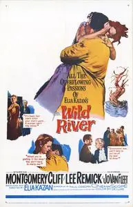 Wild River (1960)