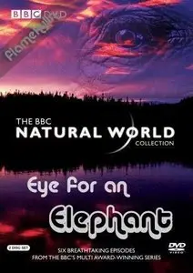 BBC Natural World - Eye for an Elephant (2006)