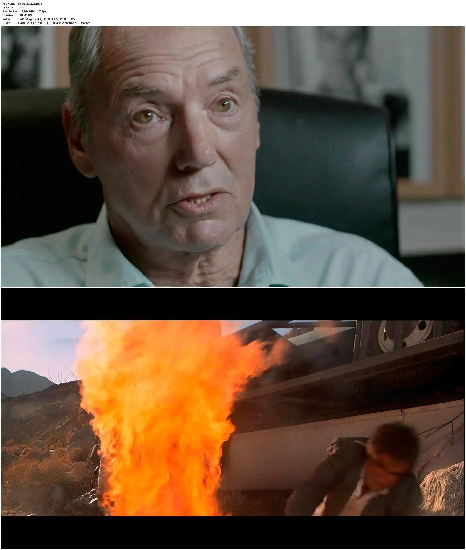 Hollywood Bulldogs The Rise and Falls of the Great British Stuntman (2021) / AvaxHome