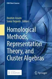 Homological Methods, Representation Theory, and Cluster Algebras (Repost)