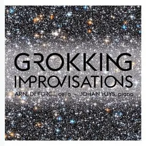 Arne Deforce & Johan Huys - Grokking Improvisations (Collection "Passacaille Plus") (2022) [Official Digital Download]