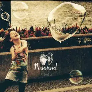 Nosound - Scintilla (2016) [BDRip, FLAC Stereo 24-bit/96kHz]