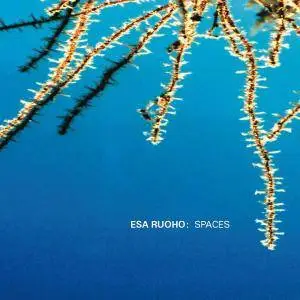 Esa Ruoho - Spaces (2001)