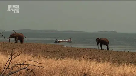 Karina - Wild on Safari - S01E12