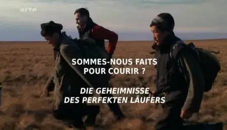 (Arte) Sommes-nous faits pour courir ? (2012)