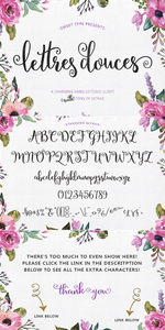 Lettres Douces Hand-Lettered Script