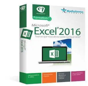 Avanquest Mediaforma Formation Excel 2016