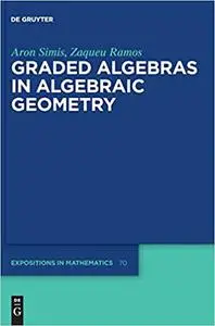 Graded Algebras in Algebraic Geometry