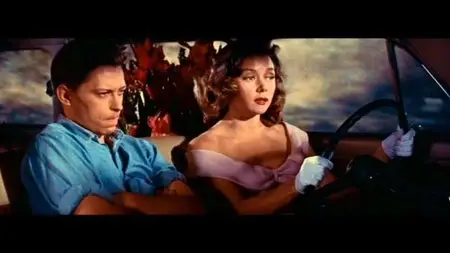 The Cobweb (1955)