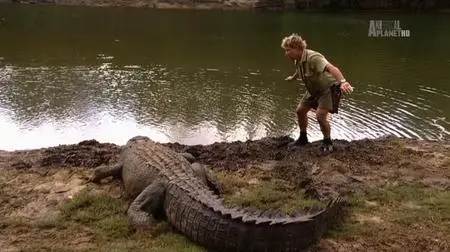 Animal Planet - The Crocodile Hunter Best of Steve: Search for the Super Croc (2018)